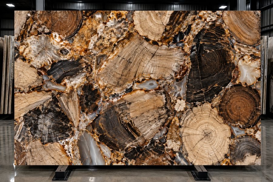Petrified Wood Semi-Precious slab